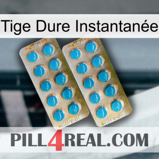 Tige Dure Instantanée new08